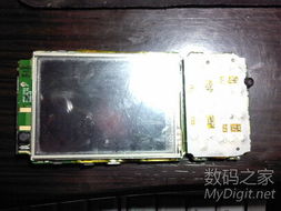 数字产品技术交流平台 推动创新与协作的桥梁