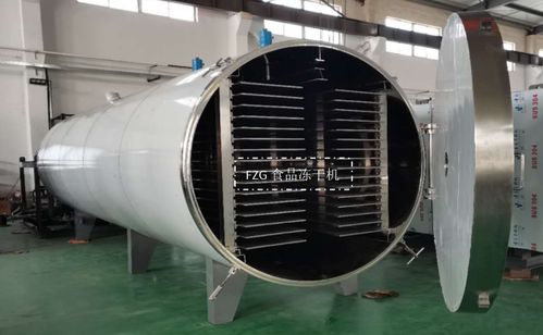 大型食品冻干机交付广西，赋能果蔬冻干深加工技术升级